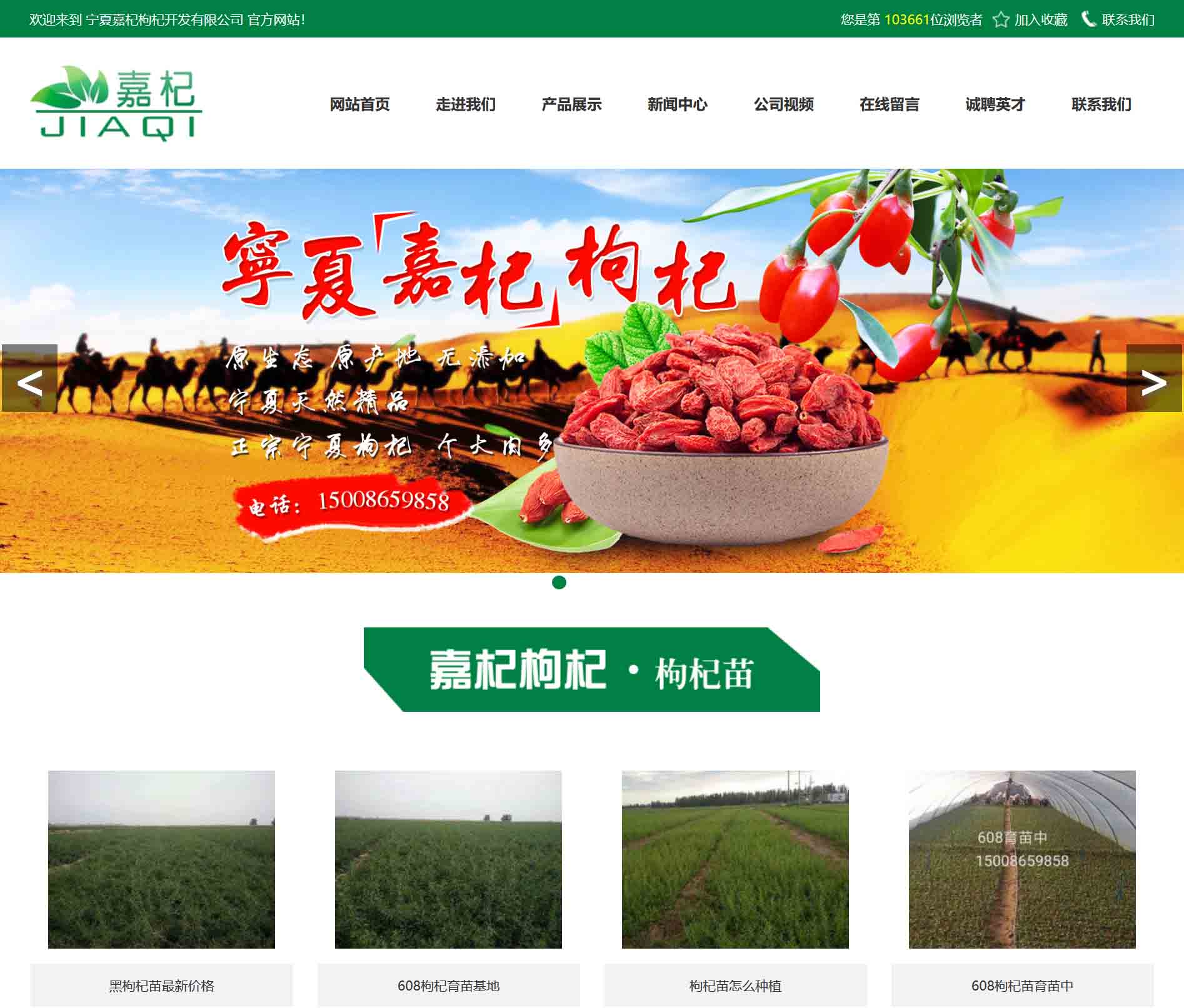 寧夏嘉杞枸杞開發有限公司